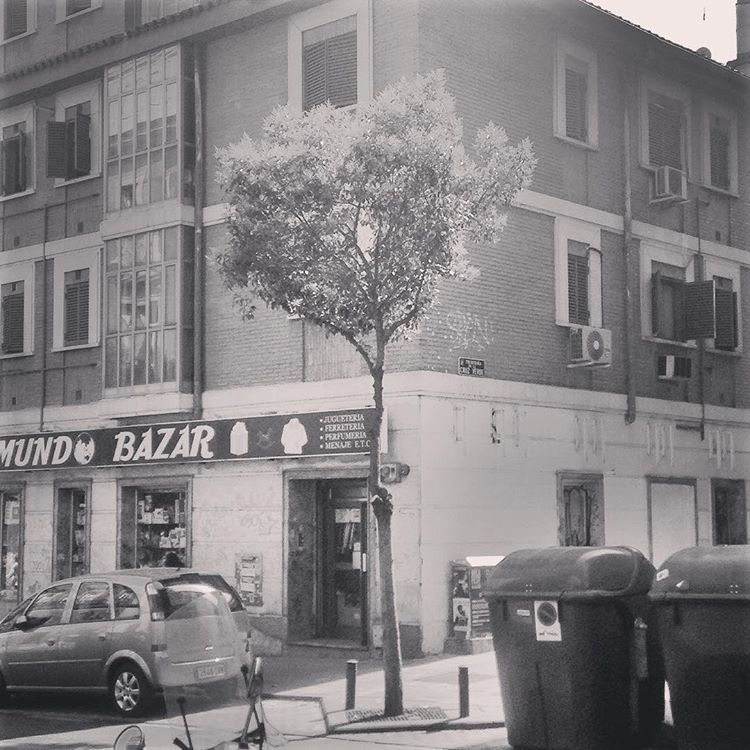 Trees I saw
